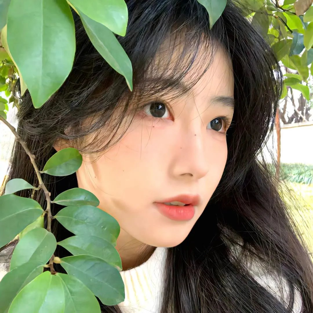 节奏组