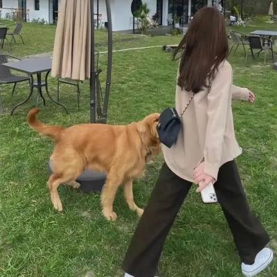 鲁迅之路